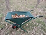 Garden Foldable Wheel Barrow